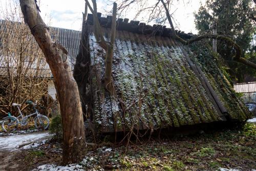 Файна Чічка (Фаина Чічка) in 亚雷马彻