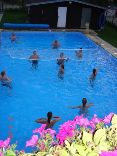 Apartamenty Amber - image 5