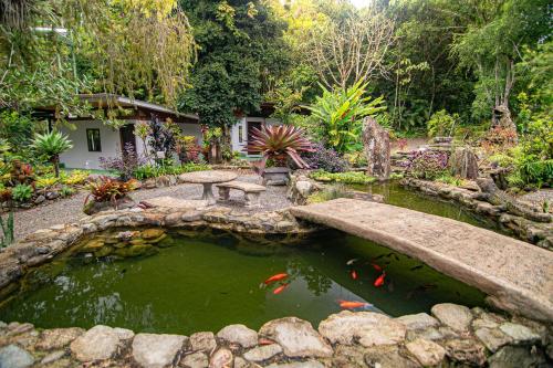 513973156 Talamanca Nature Reserve