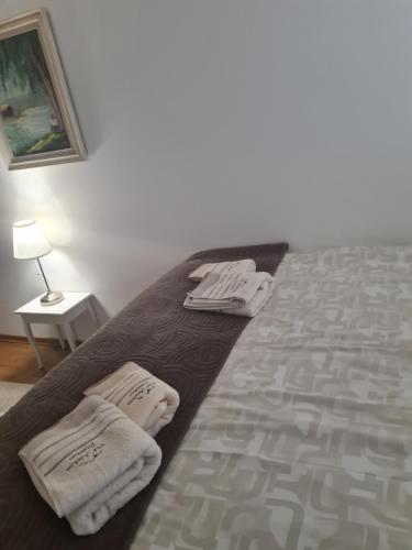 Apartman Vip Aleksa Zlatibor Centar - image 13
