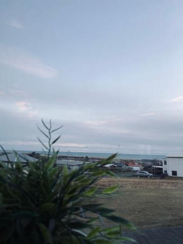Guesthouse Carina - image 13