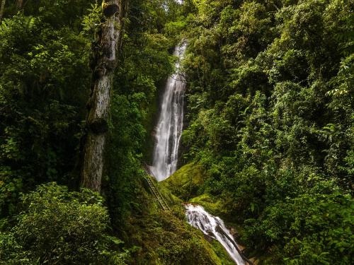 513973965 Talamanca Nature Reserve