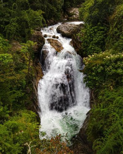 Talamanca Nature Reserve