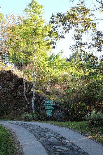 Talamanca Nature Reserve