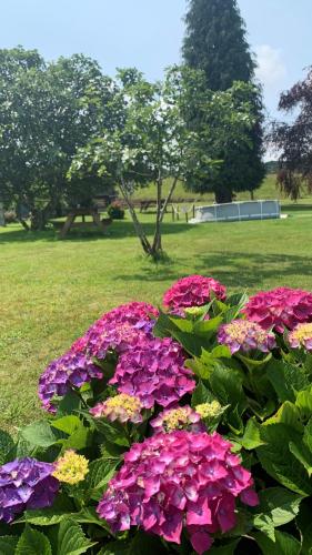  Apartamentos La Quintana de Romillo in Romillo