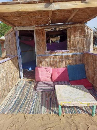 انتيكا كامب in Taba