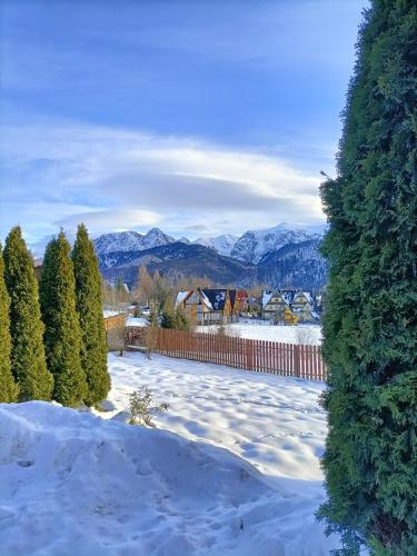 扎科帕内 Apartament Zakopane Koscielisko 4星级 单人房 设施