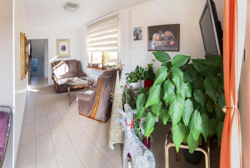 Guest House Ćiro - main image