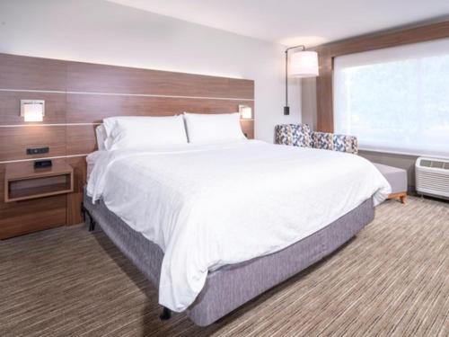Holiday Inn Express - Brevard, an IHG Hotel in Brevard, USA