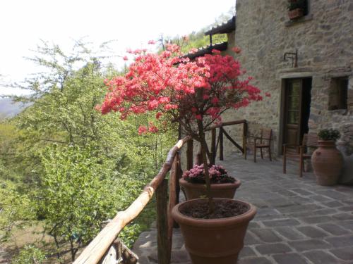 Agriturismo Molino Paradiso chambre d'hôte Grotte