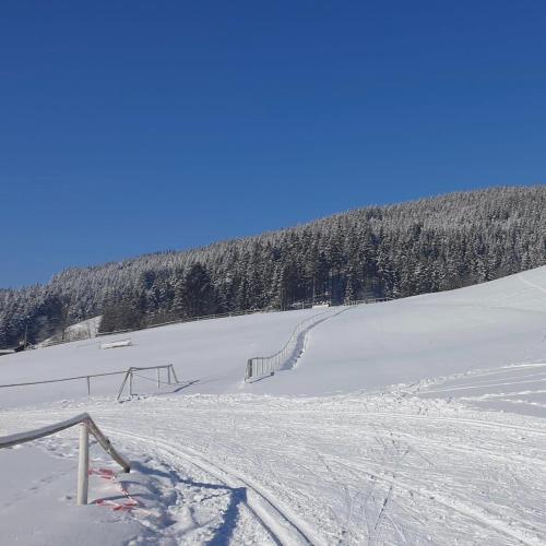 Penzion U Bečvy - image 5