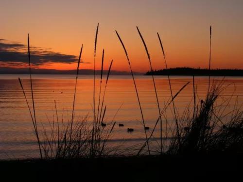 Birch Bay Beach Cabana