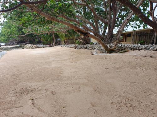 . Eco Dive Vanuatu Bungalows & Backpackers