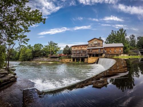 Cozy Cabin Getaway on Buffalo River with HUGE Patio