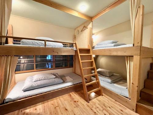 Bunk Bed in Female Dormitory Room