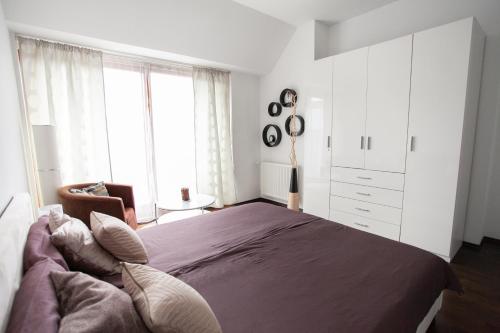 Budapest Terrace Apartment, Budapešť (fotografie 4)