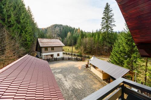 陽台/露台, Casa Sinca in 蒂米蘇爾德約斯