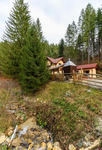 外部景觀, Casa Sinca in 蒂米蘇爾德約斯