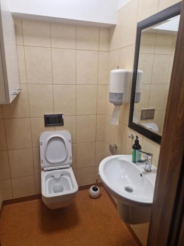 Noclegi Budomas Budget Wrocław-Szymanów FreeParking SmartTv, Wroclaw (foto 8)