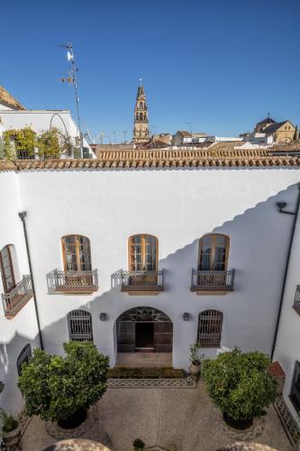 Marques Apartment, Historic Palace & Parking, Córdoba (photo 6)