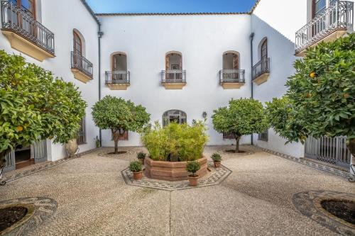 Marques Apartment, Historic Palace & Parking, Córdoba (photo 7)