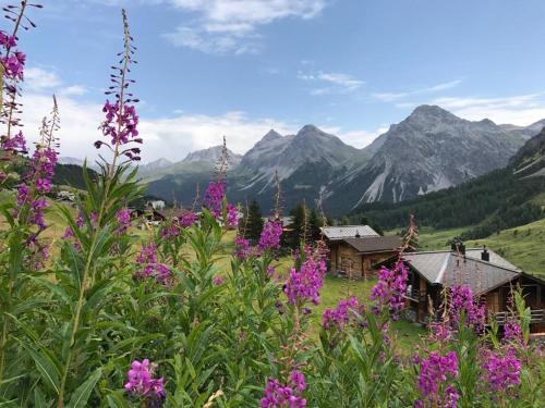 Derby 25 in Arosa, Schweiz
