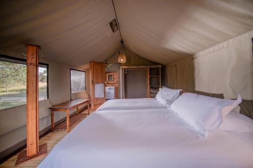 Nkambeni Safari Camp Room Type - Luxury Tent