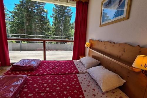 Chamrousse, 50m piste, wifi +, terrasse vue sapins, Chamrousse (photo 8)