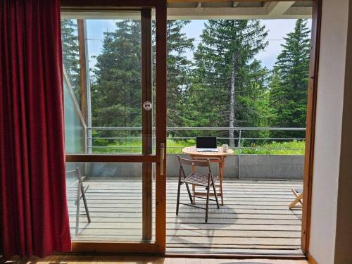 Chamrousse, 50m piste, wifi +, terrasse vue sapins, Chamrousse (photo 10)