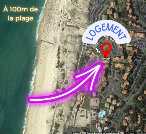 Dune Dreamer - Appartement beach front - Location saisonnière - Seignosse