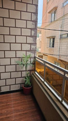 Hotel Golden Inn - image 2