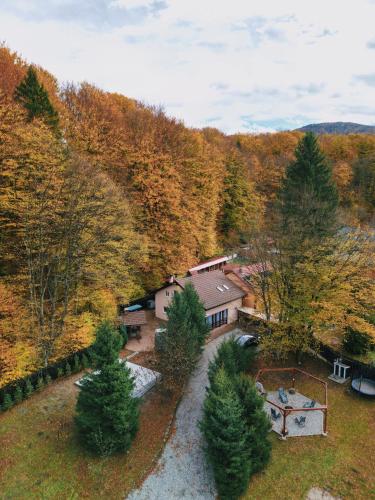 Teodor Chalet, Avrig (foto 5)