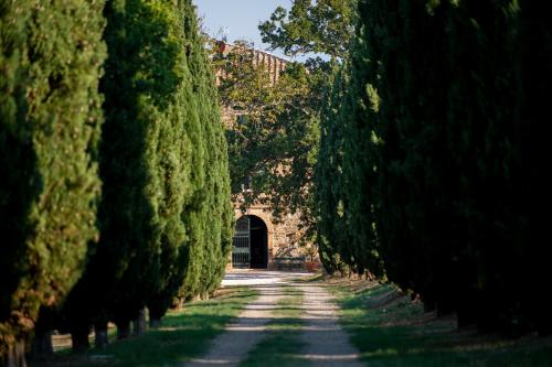 Villa Le Prata - Farm House & Winery - Adults Only - Accommodation - Montalcino