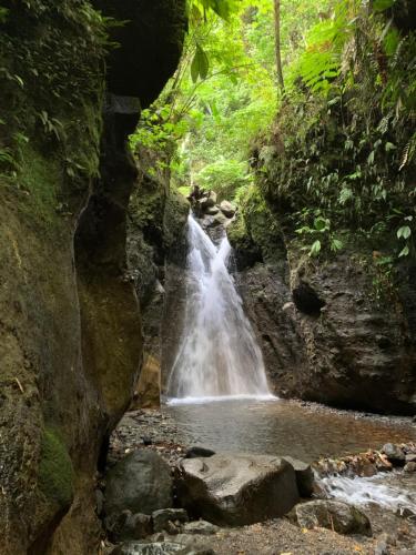 Kaya Lodge in Basse-Pointe