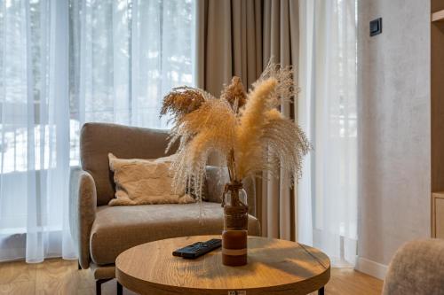 Apart-Invest Mountain Tree Apartament C27, Szklarska Poręba (zdjęcie 10)