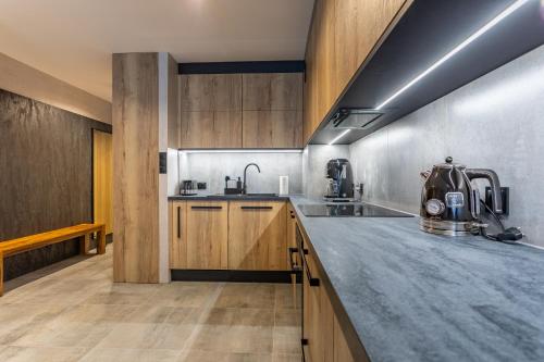 Apart-Invest Mountain Tree Apartament C27, Szklarska Poręba (zdjęcie 5)