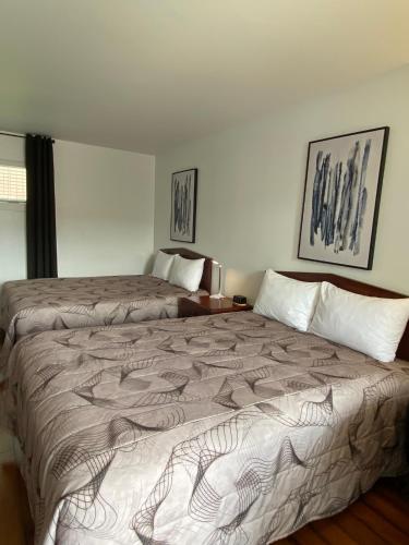 Standard Queen Room with Two Queen Beds - Pet-friendly