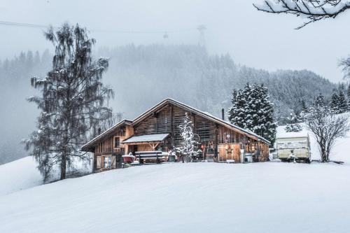 Eigerhome - The Cottage mit Wellness - GRIWA RENT AG Grindelwald