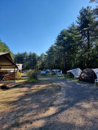 Camping Siësta (Camping Siesta) in Lille