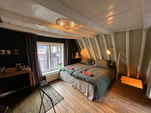 Attic Monkeys Lodge - image 10