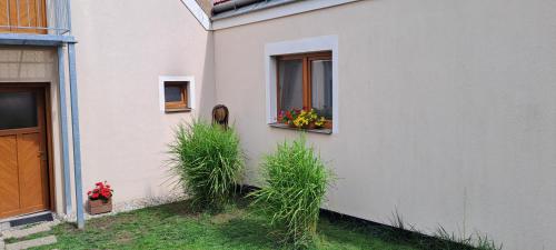 U Ječmínka - image 5