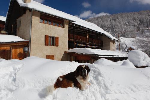 Le Chalet Viso - Chambre d'hôtes - Arvieux