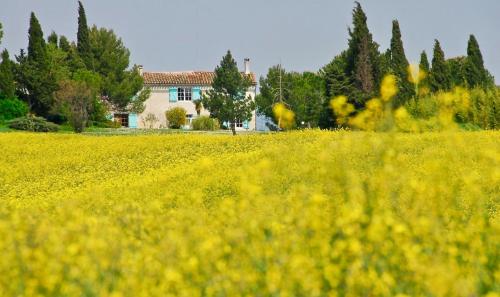 Domaine Saladry