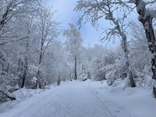 Jirotovy boudy I in Telnice