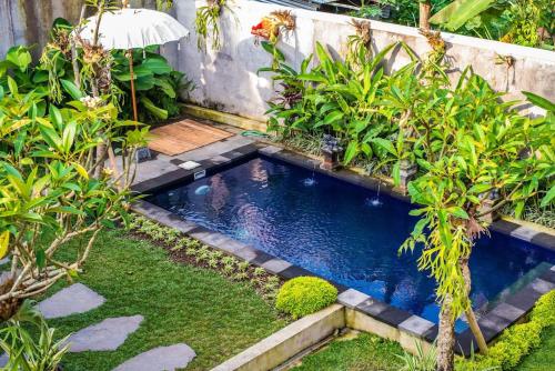 Budget Apartment 30min Ubud Center, Rice Fields-2