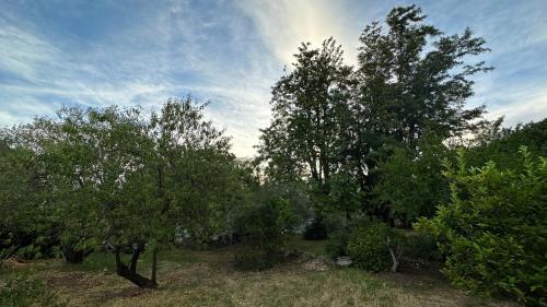 Twin Trees Cottage in Ribek Kastelis