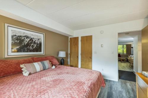 Pinnacle D05 in Killington, USA