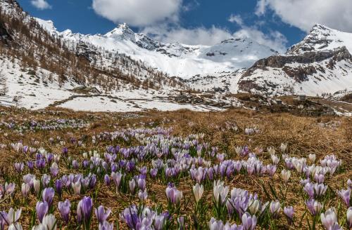 Belcolle, il bello della tranquillità