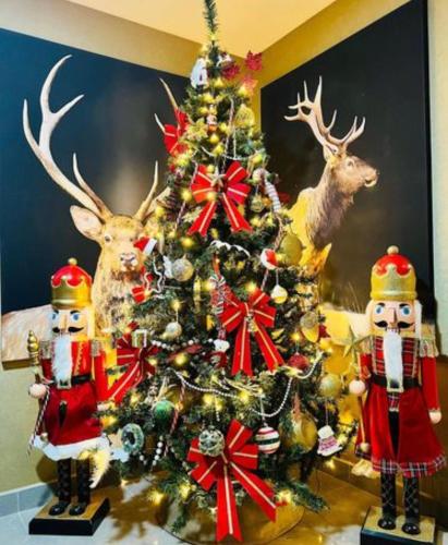 La Reine des Alpes gîte à louer Chalets de l'Orcérette