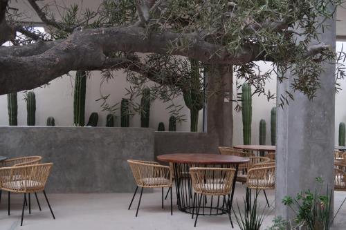 Ventonorte in La Ventana, Mexico